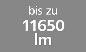bis_zu_11650_lm.jpg