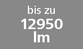 bis_zu_12950_lm-els-european-lighting-solutions.jpg