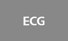 ecg-els-european-lighting-solutions.jpg